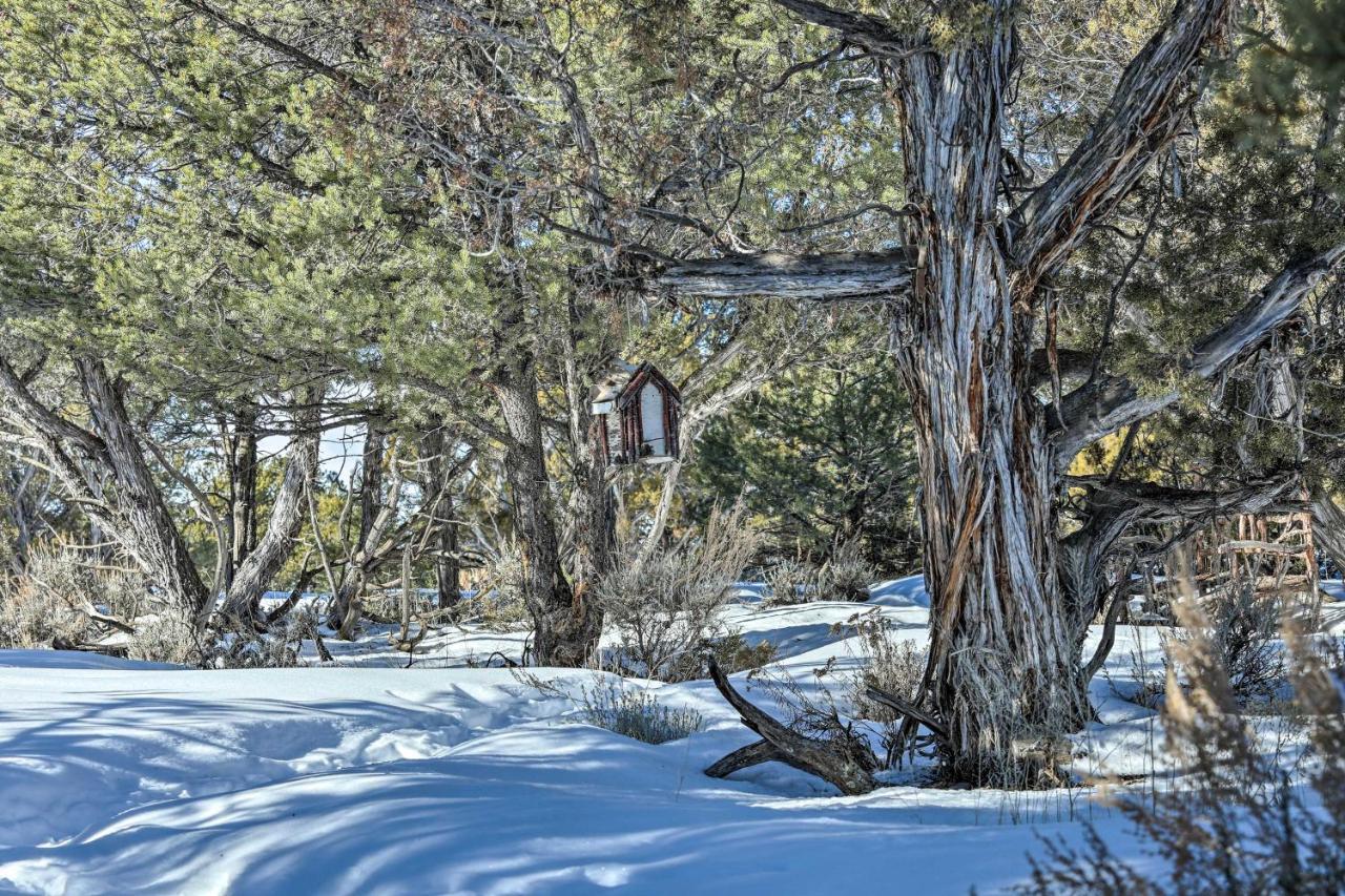 Eagles Landing A Quiet Colorado Mountain Escapeヴィラ エクステリア 写真